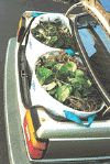 Recycling (22611 bytes)