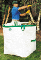 LAWN BAGG Landscape Model (34453 bytes)