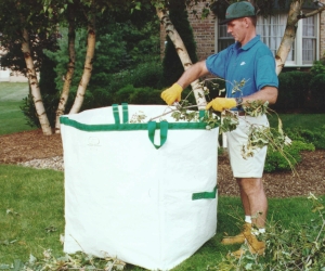LAWN BAGG Double Bottom (34453 bytes)